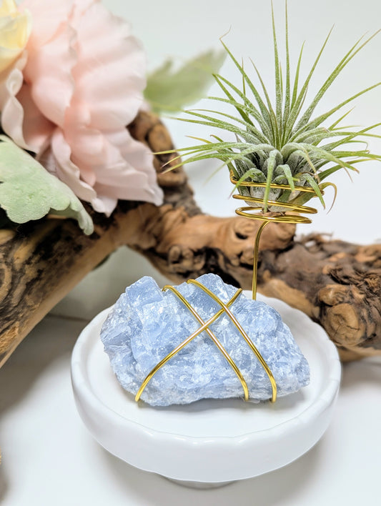 Blue Calcite with Tillandsia Air Plant