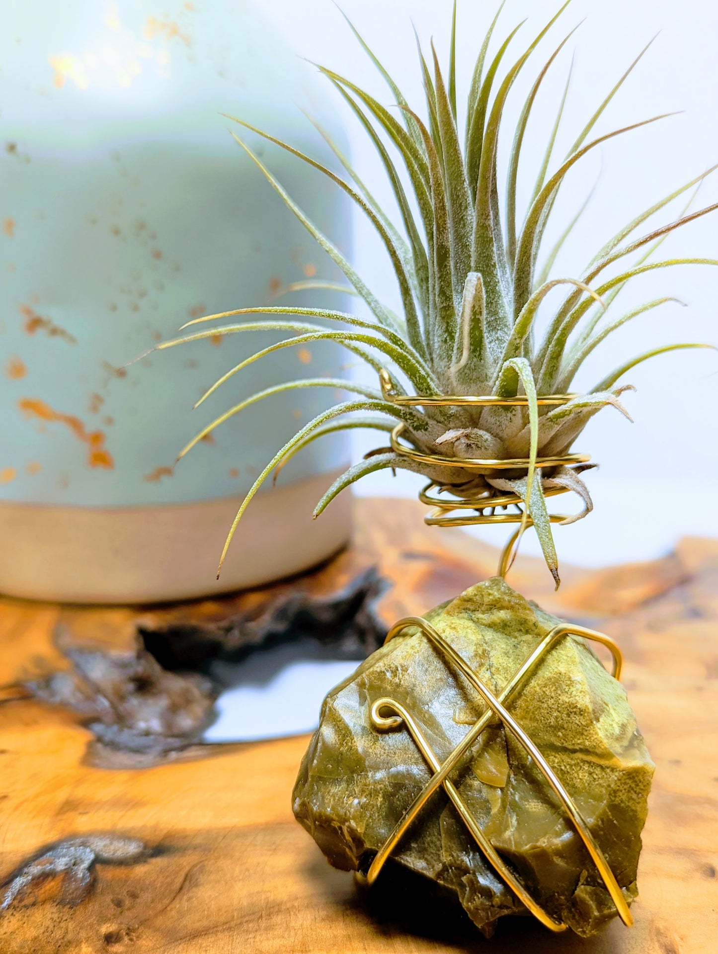 Green Opal with Tillandsia Air Plant