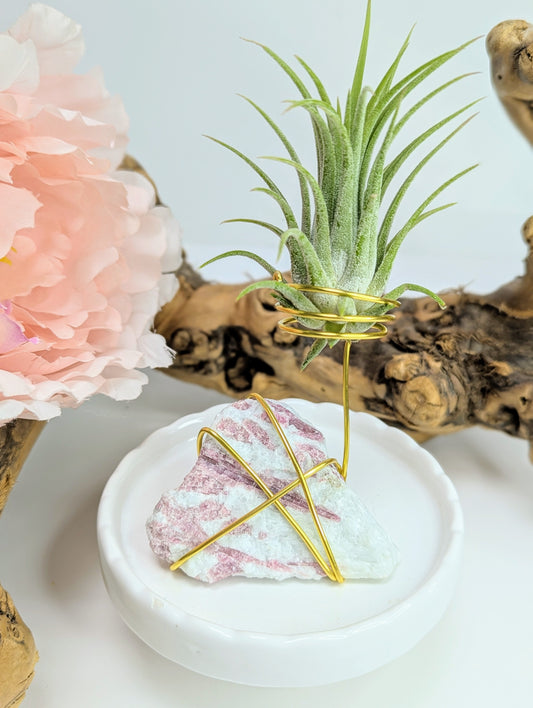 Pink Tourmaline on Matrix with Tillandsia Air Plant