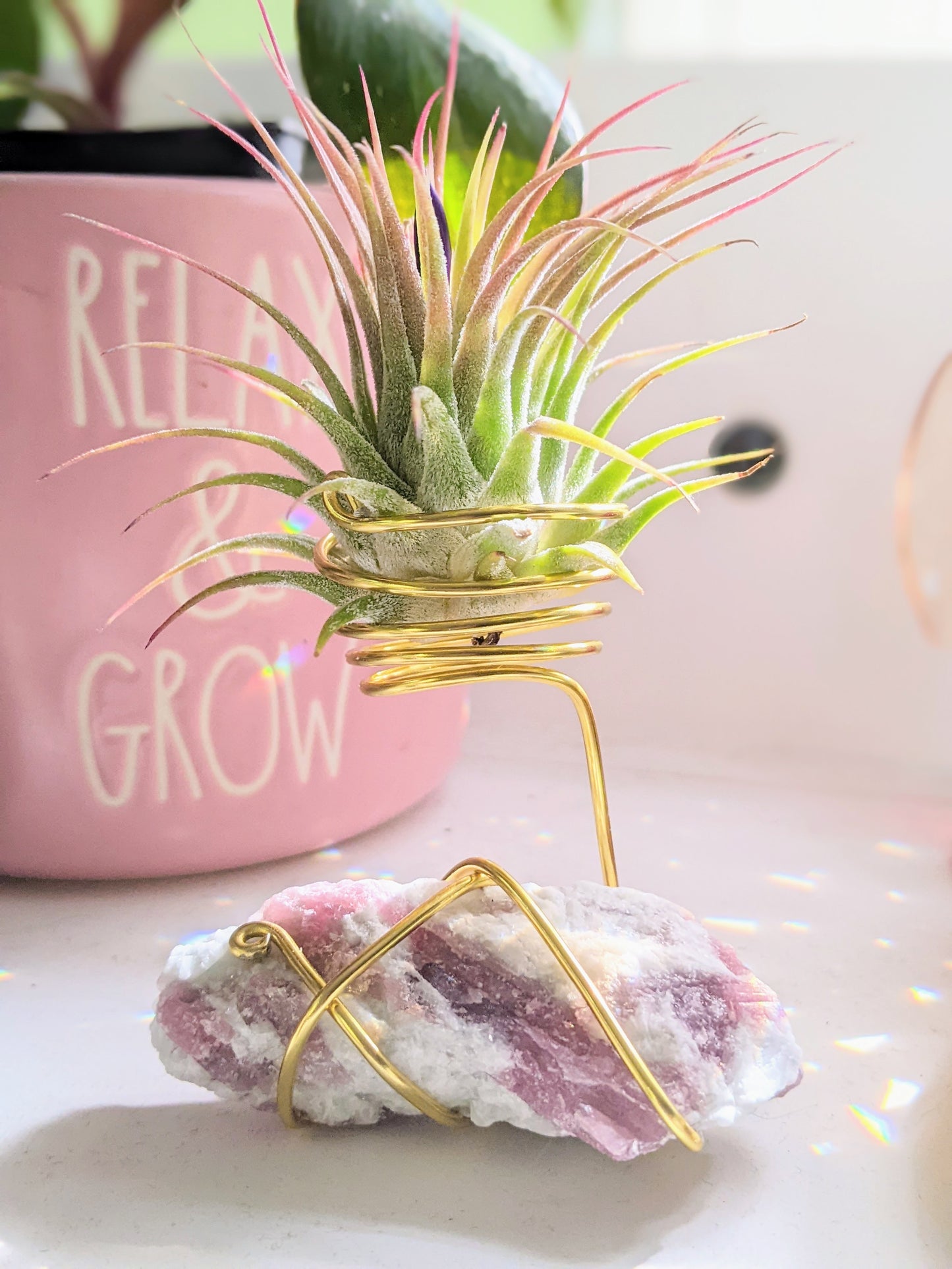 Pink Tourmaline on Matrix with Tillandsia Air Plant