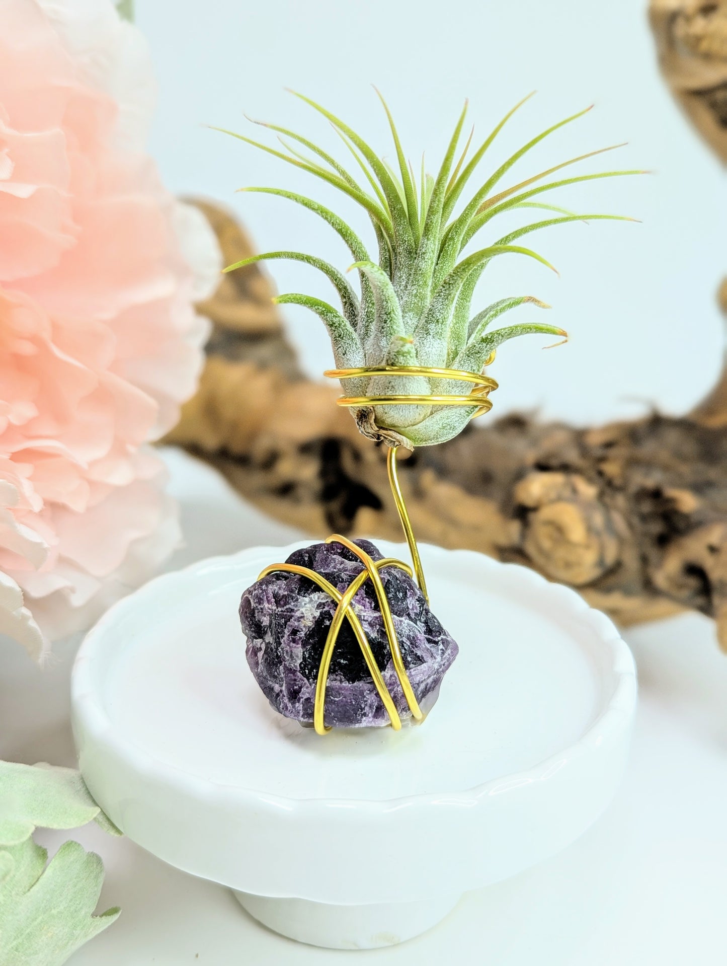 Rainbow Fluorite with Tillandsia Air Plant