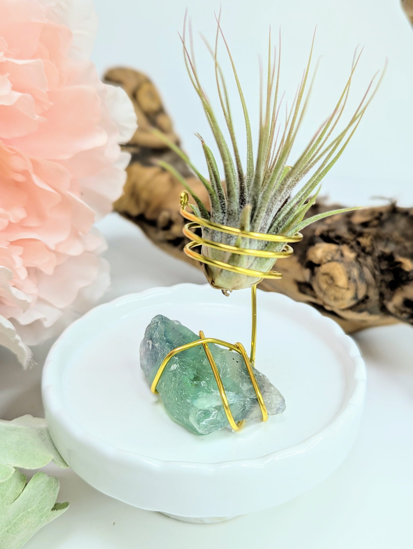 Rainbow Fluorite with Tillandsia Air Plant