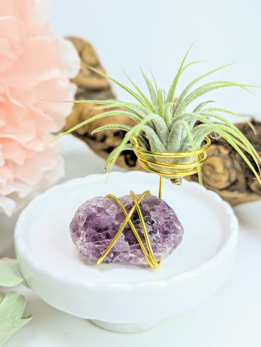 Rainbow Fluorite with Tillandsia Air Plant