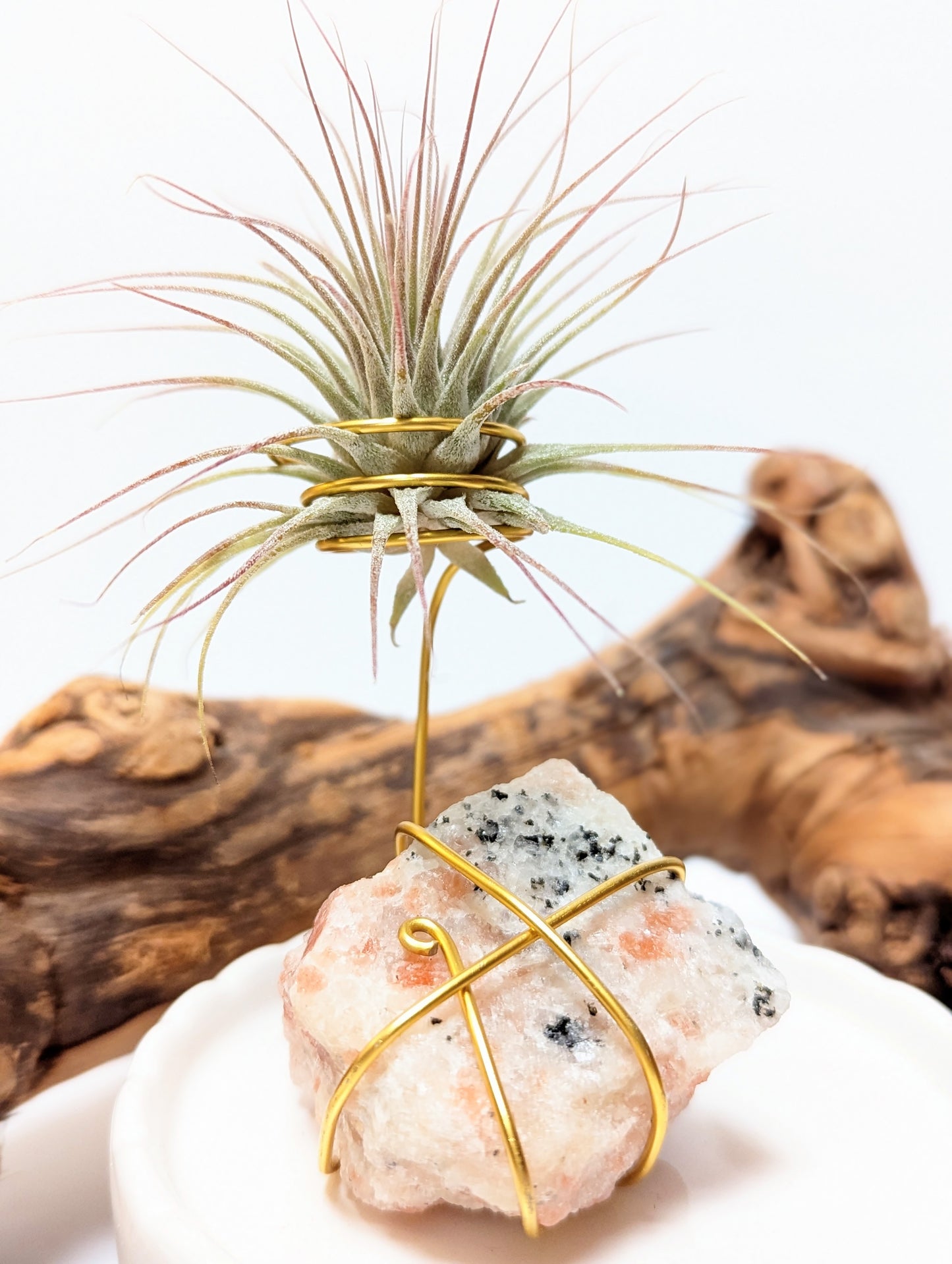 Sunstone with Tillandsia Air Plant