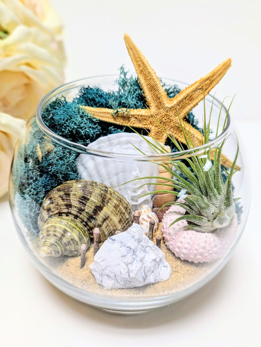 Terrarium - Pick your own color moss