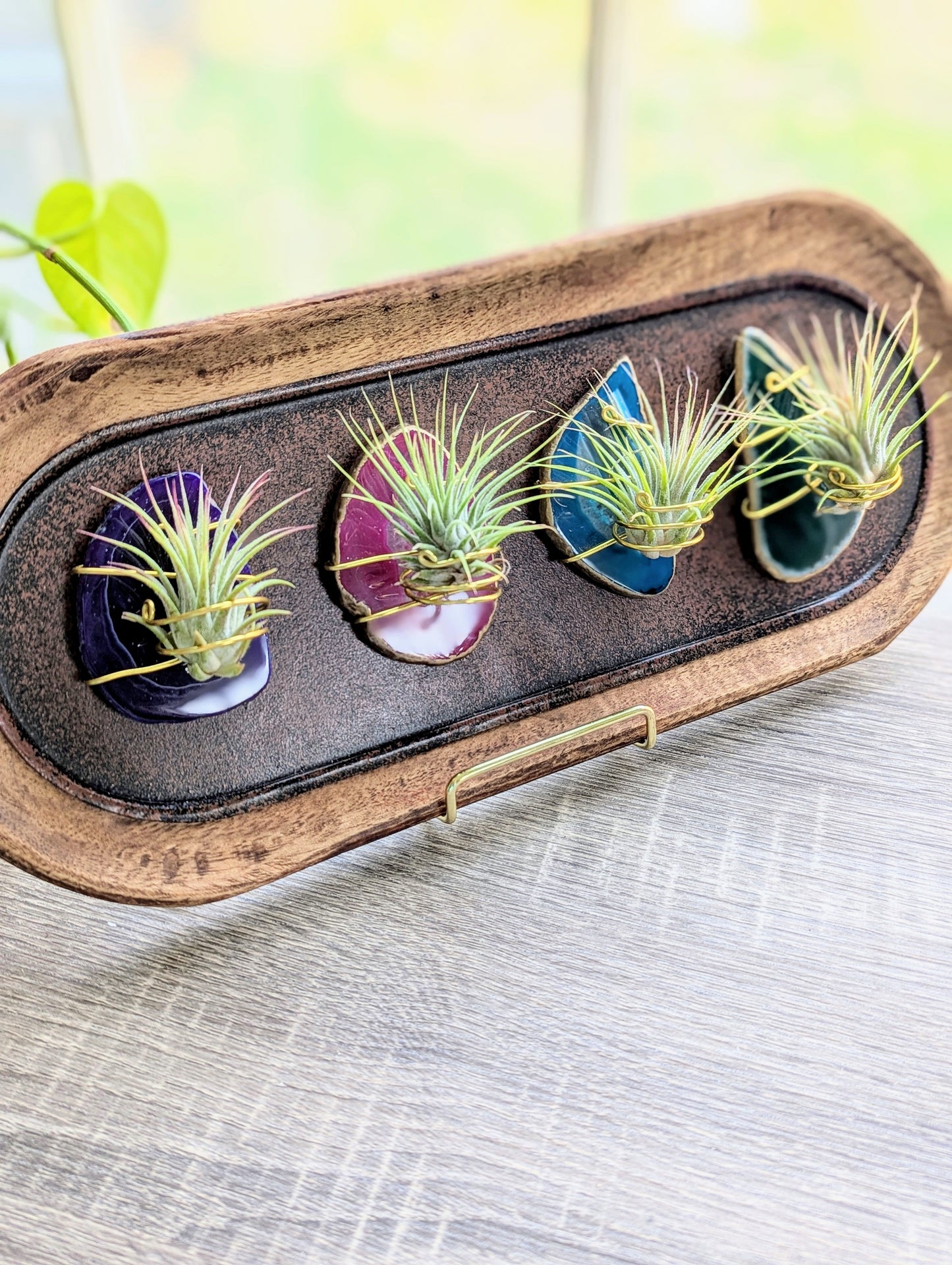 Agate Magnet with Tillandsia Air Plant