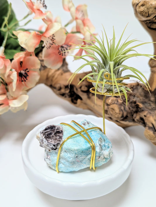 Amazonite with Tillandsia Air Plant