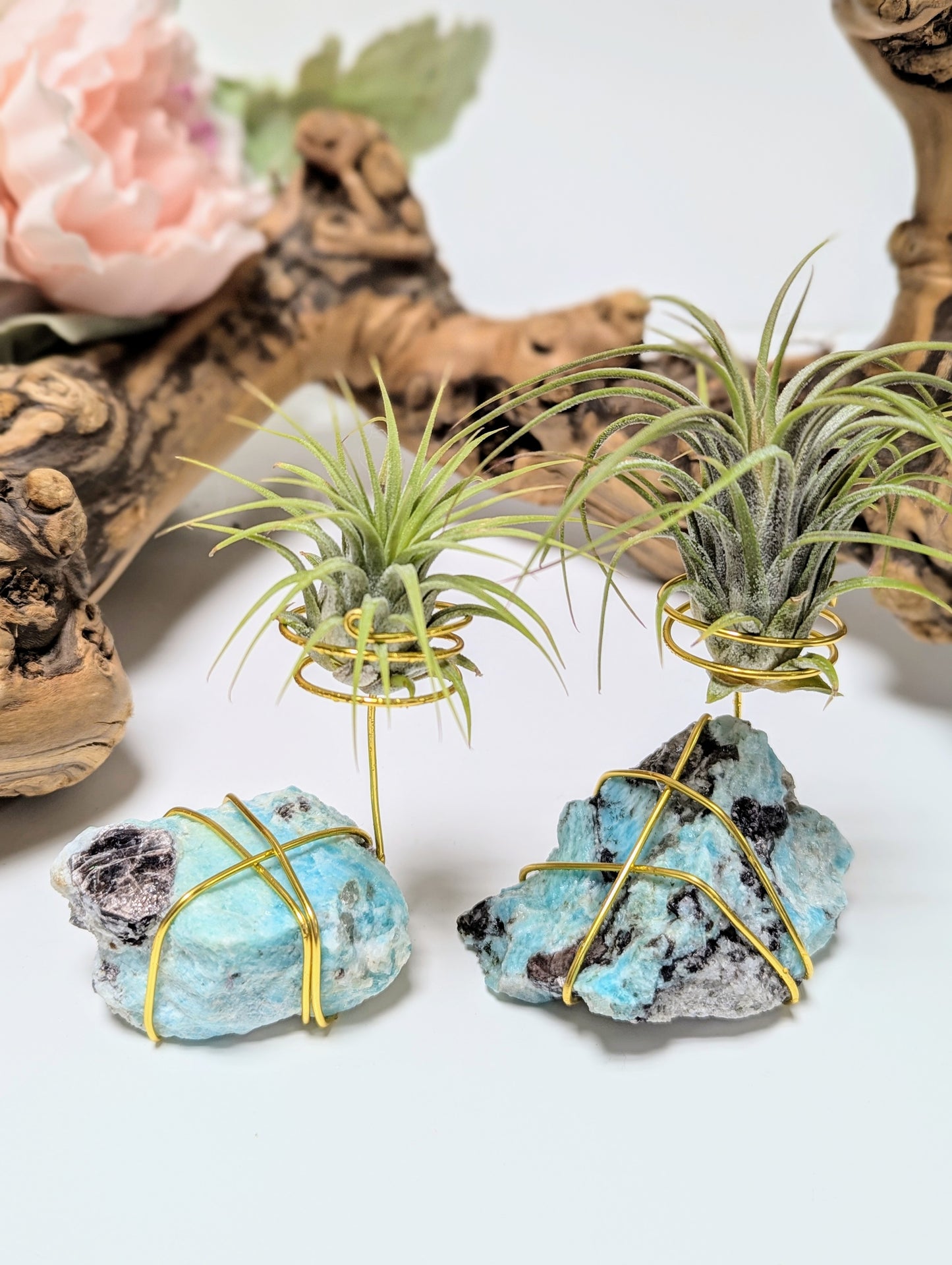Amazonite with Tillandsia Air Plant