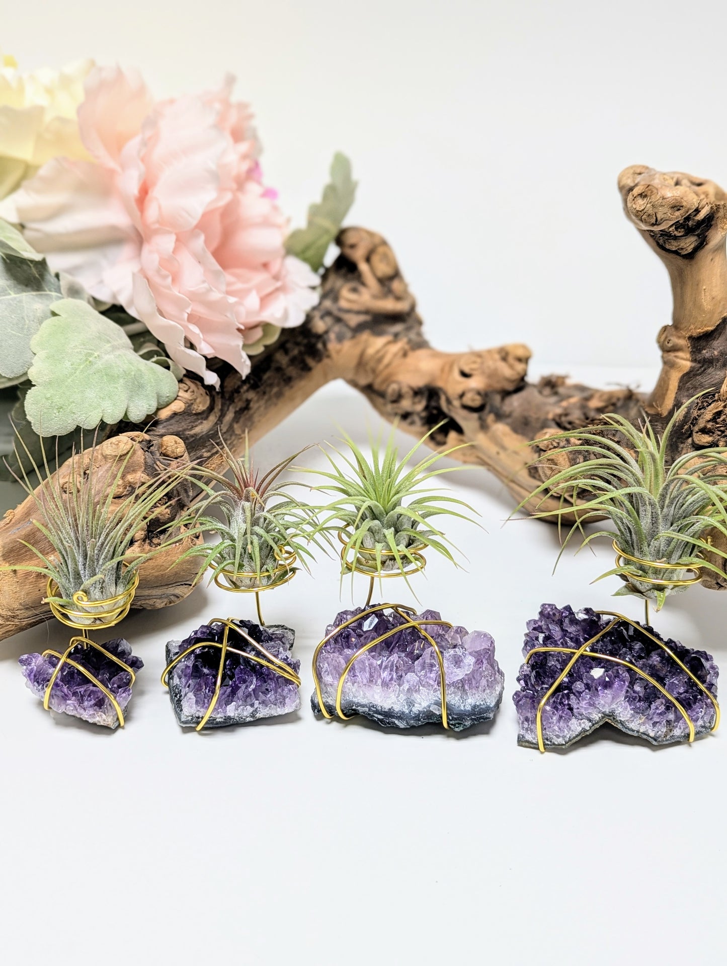 Amethyst Cluster with Tillandsia Air Plant