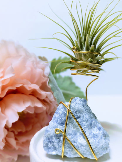 Blue Calcite with Tillandsia Air Plant