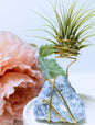 Blue Calcite with Tillandsia Air Plant