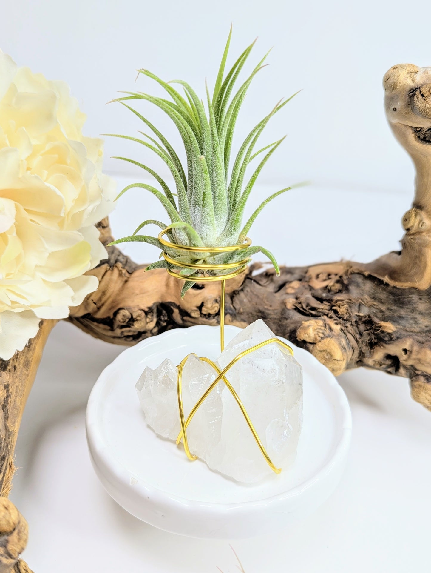 Clear Quartz Cluster with Tillandsia Air Plant