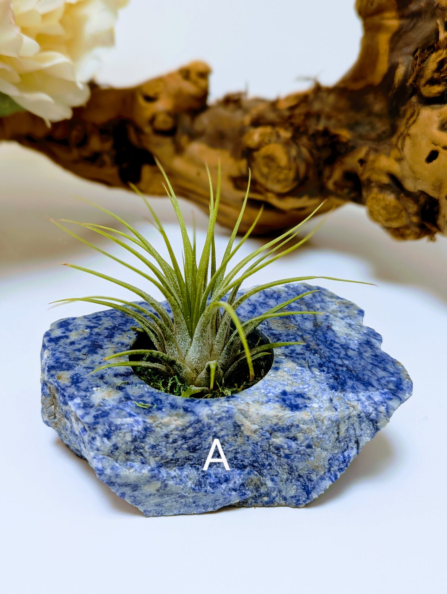 Flat Stone Blue Sodalite
