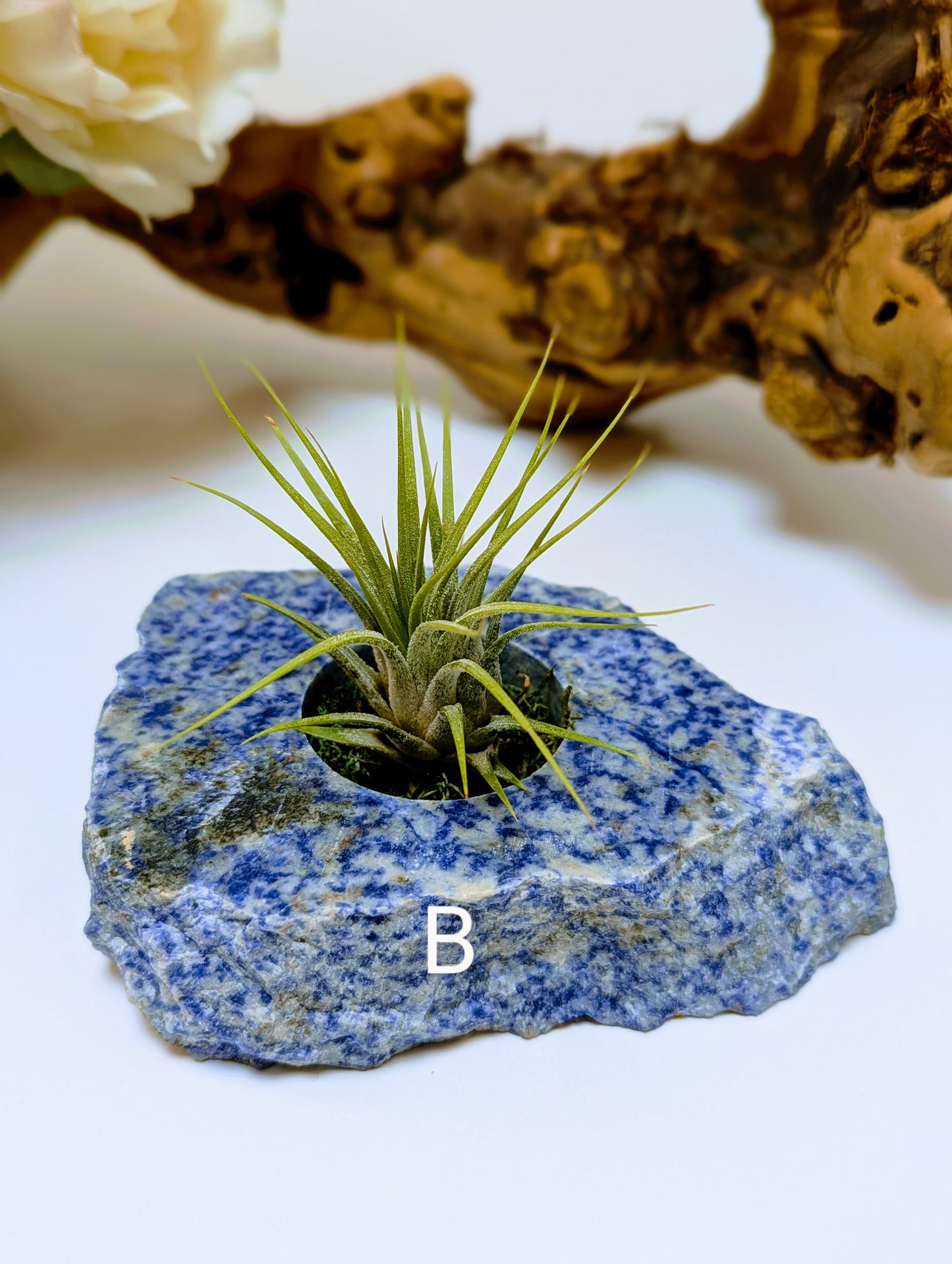 Flat Stone Blue Sodalite