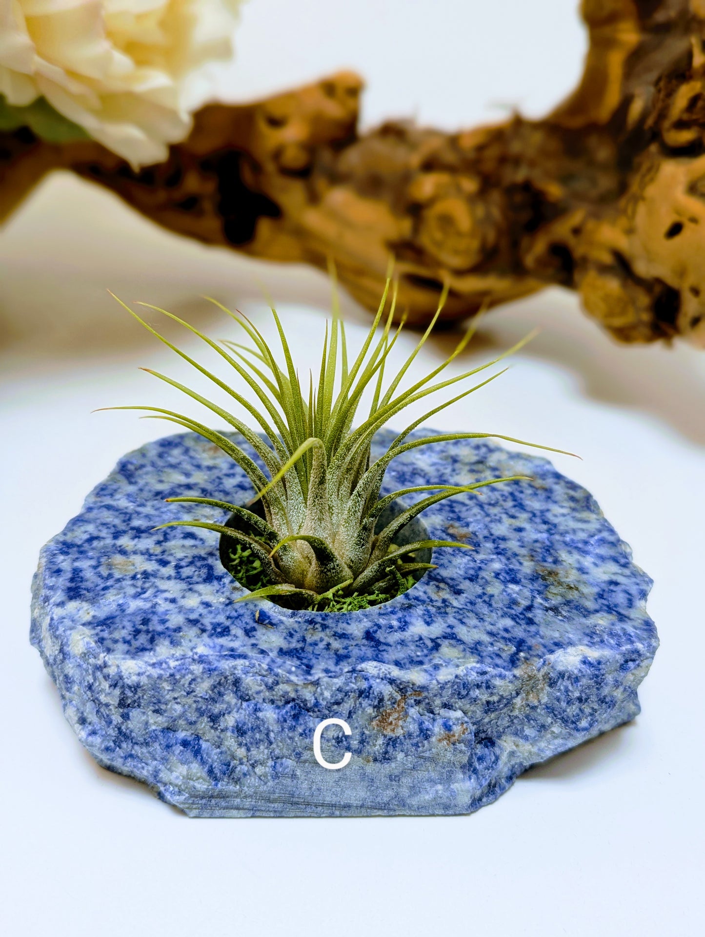 Flat Stone Blue Sodalite