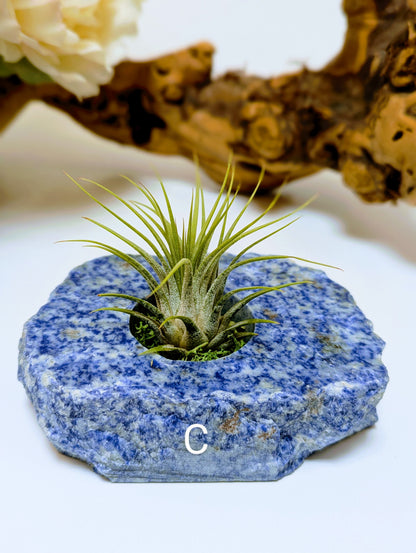 Flat Stone Blue Sodalite