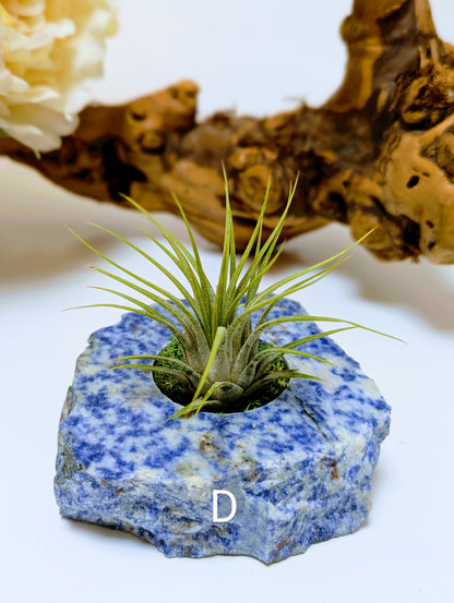 Flat Stone Blue Sodalite
