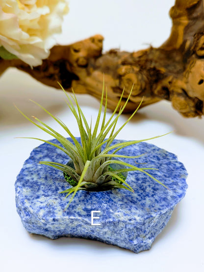 Flat Stone Blue Sodalite