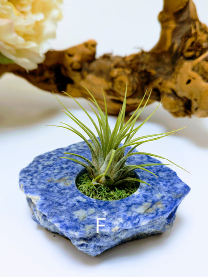 Flat Stone Blue Sodalite