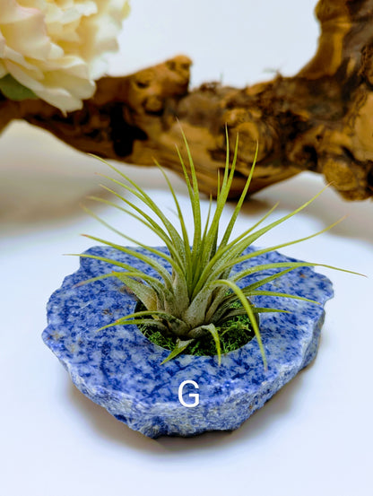 Flat Stone Blue Sodalite