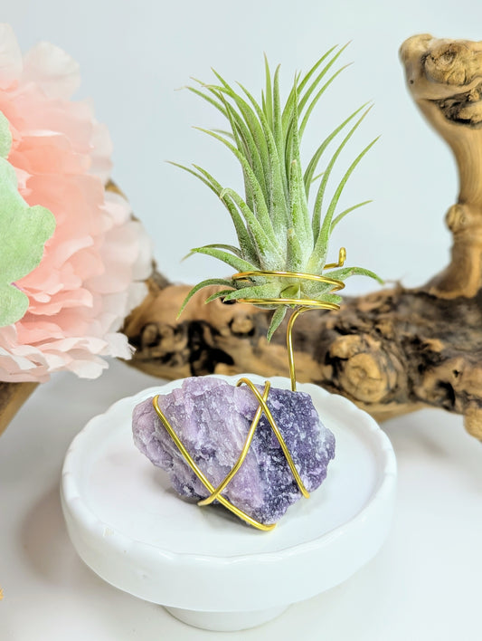 Lepidolite with Tillandsia Air Plant