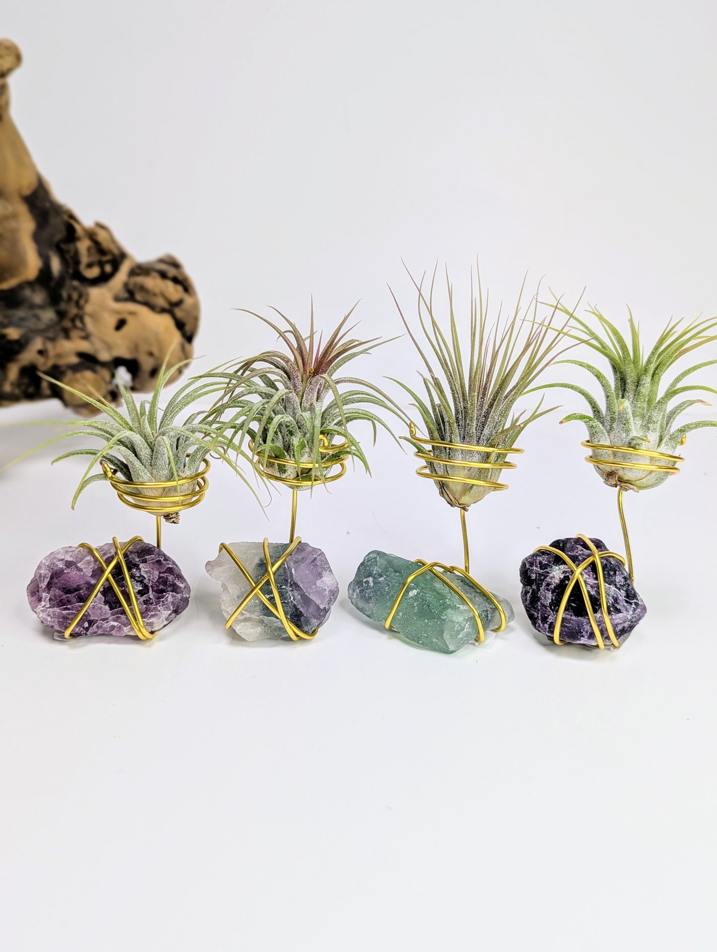 Rainbow Fluorite with Tillandsia Air Plant