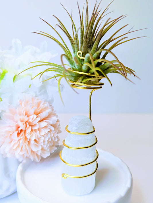 Selenite Tower with Tillandsia Air Plant