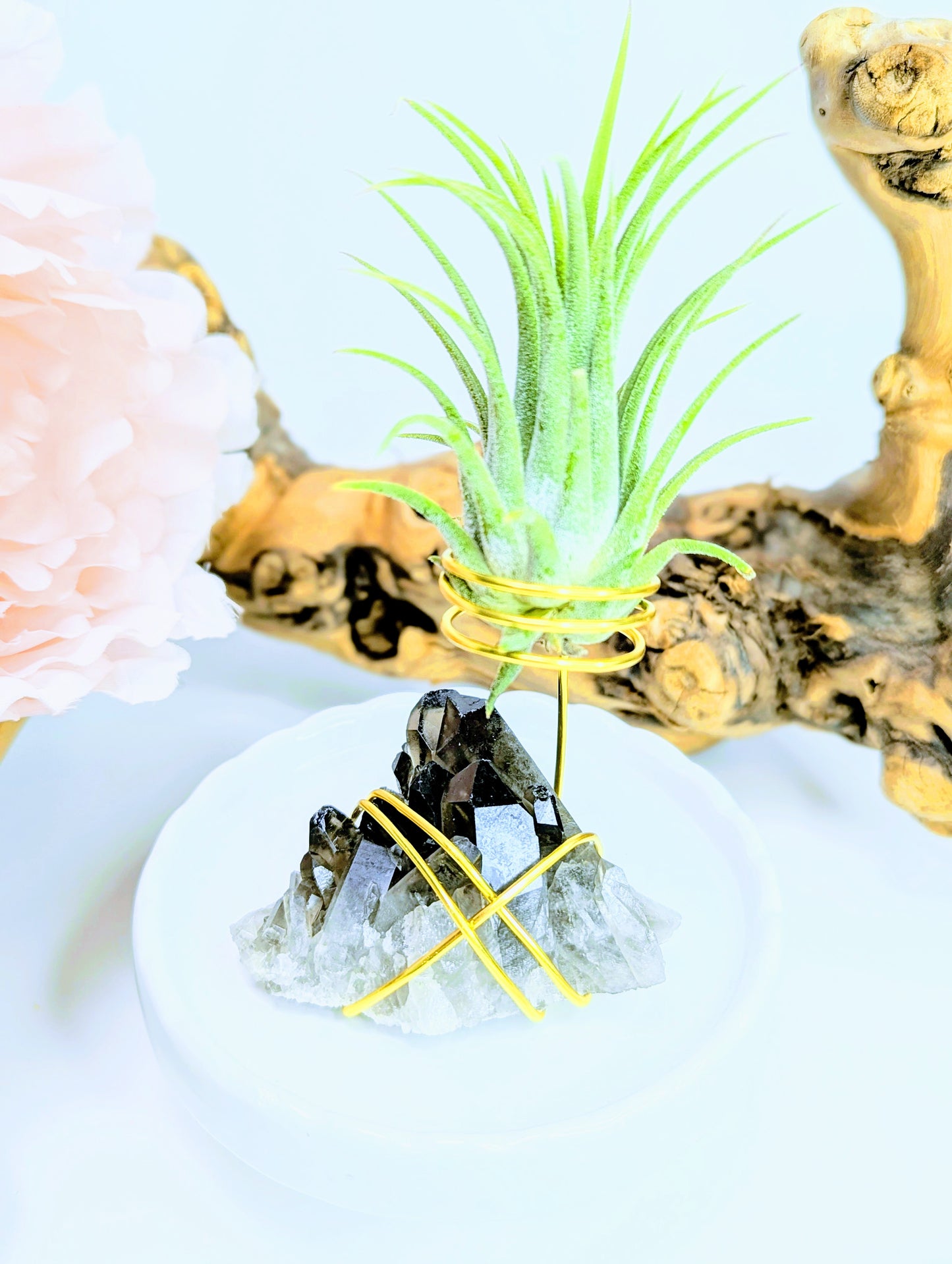 Smoky Quartz with Tillandsia Air Plant