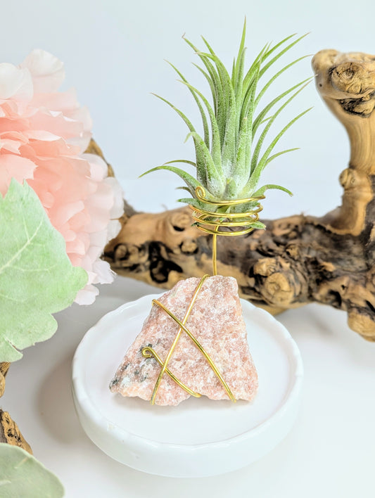 Strawberry Calcite with Tillandsia Air Plant