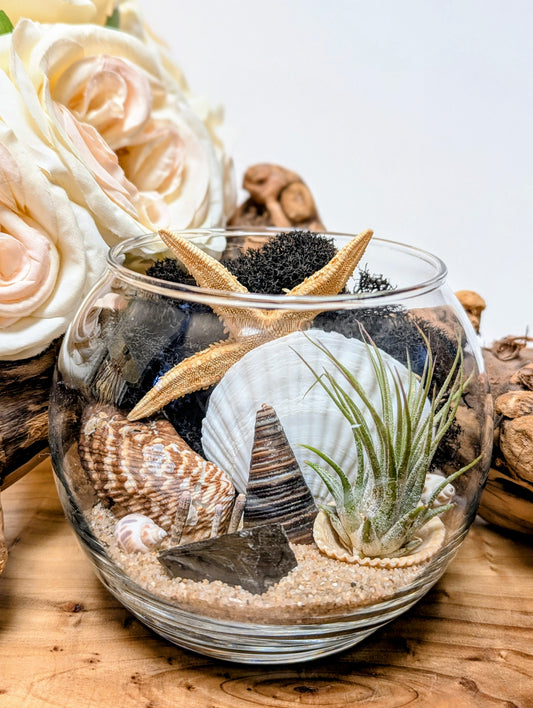Terrarium Black Beige Obsidian