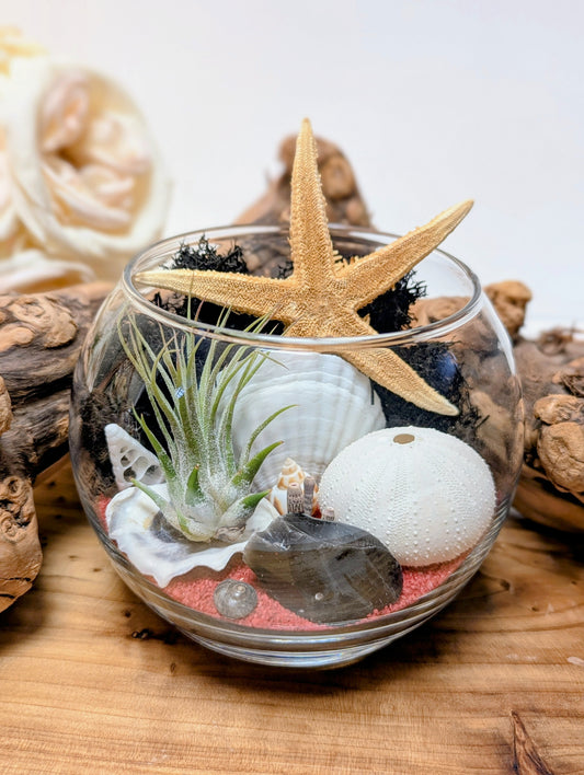 Terrarium Black Red Obsidian