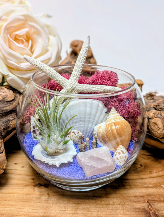 Terrarium Pink Purple Rose Quartz