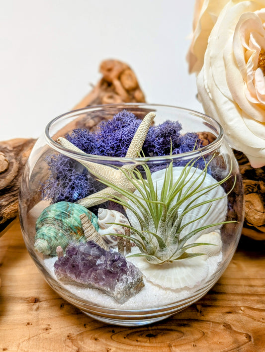 Terrarium Purple Amethyst