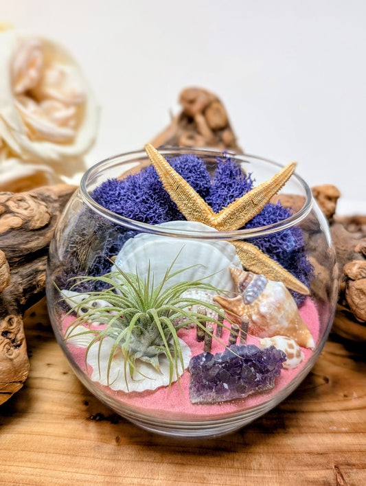 Terrarium Purple Pink Amethyst