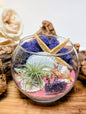 Terrarium Purple Pink Amethyst