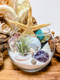 Terrarium Rainbow Amethyst