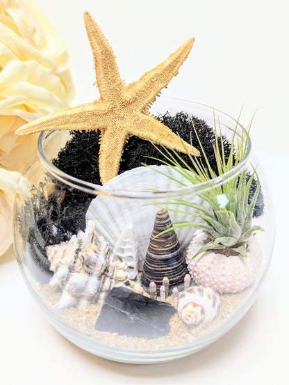 Terrarium Random