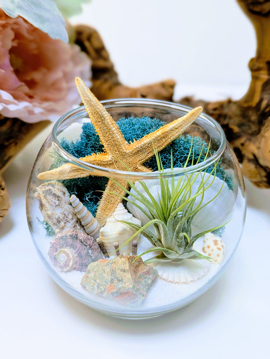 Terrarium Blue Unakite