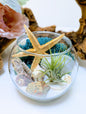 Terrarium Blue Unakite
