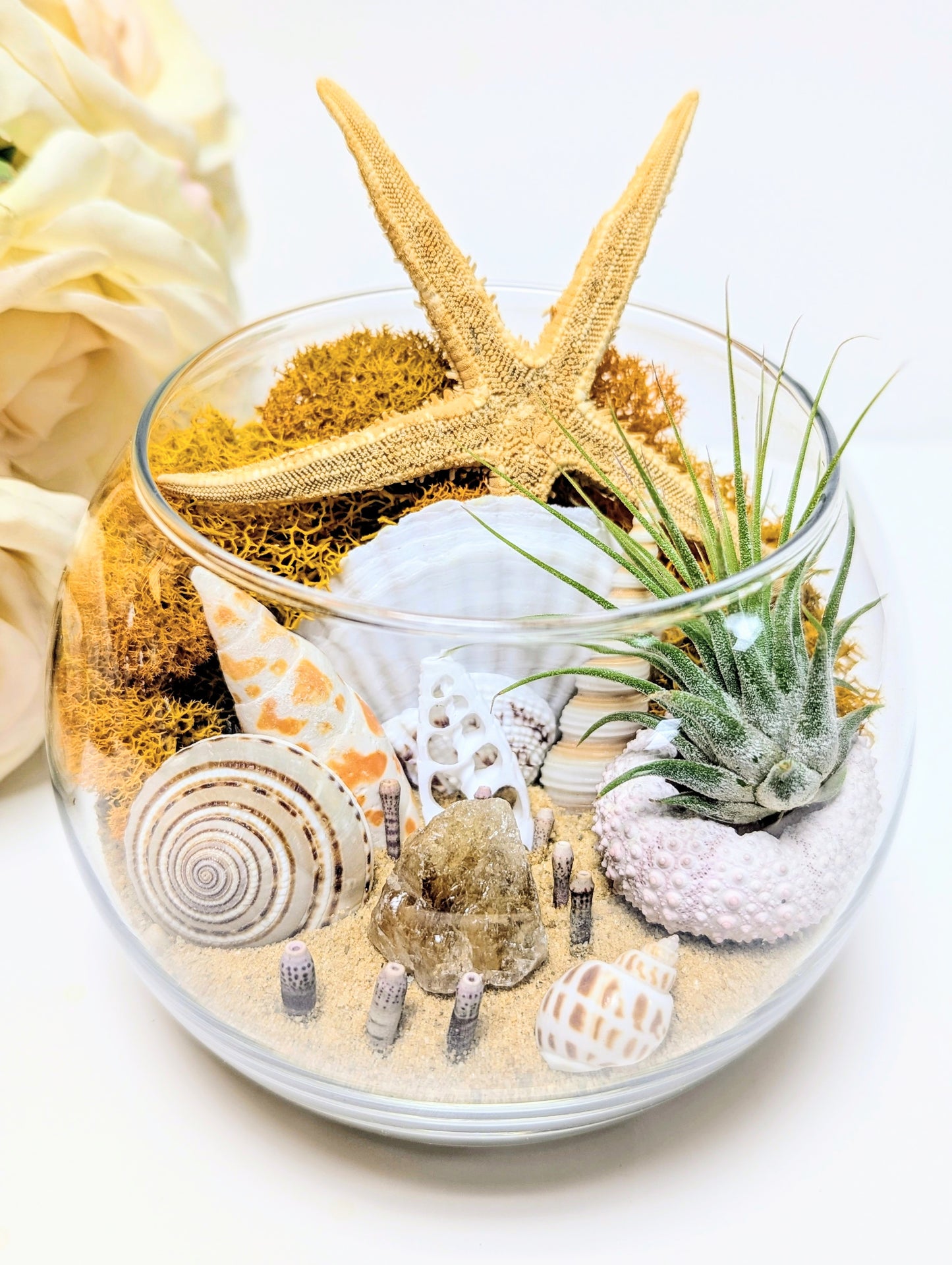 Terrarium Random