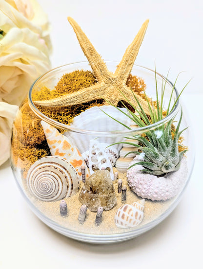 Terrarium Random
