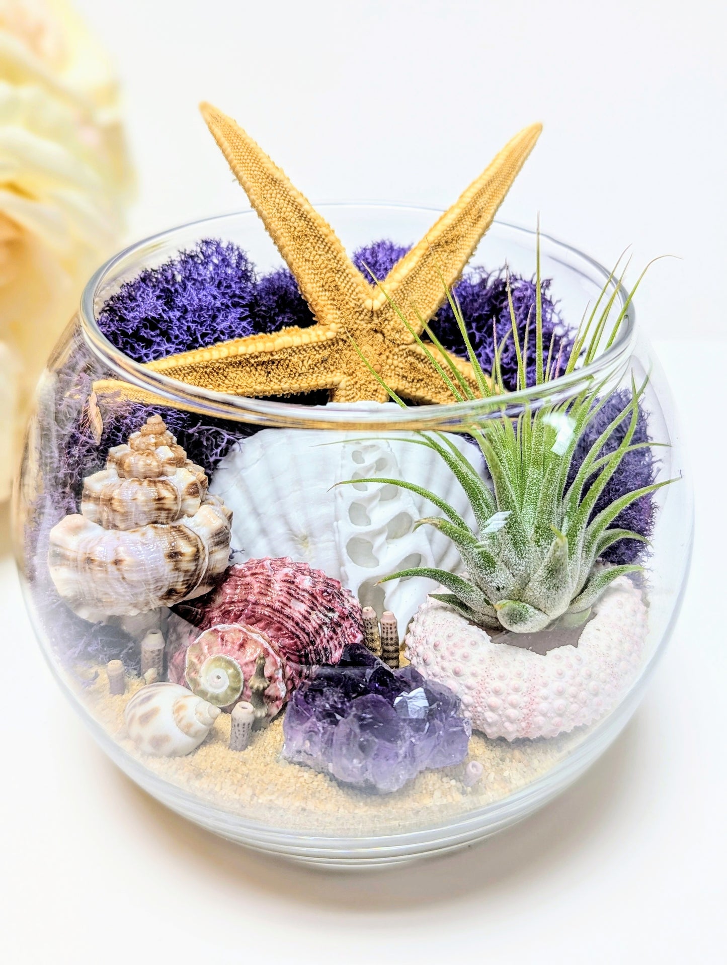 Terrarium Random