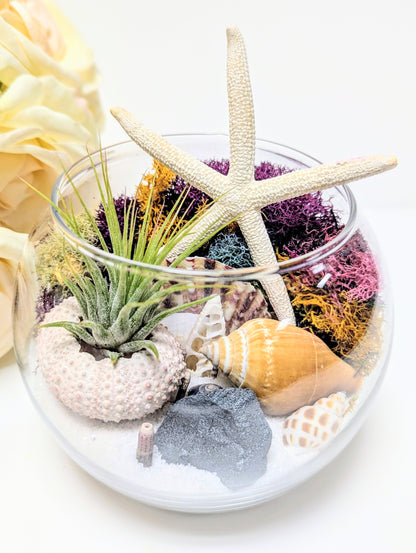 Terrarium Random