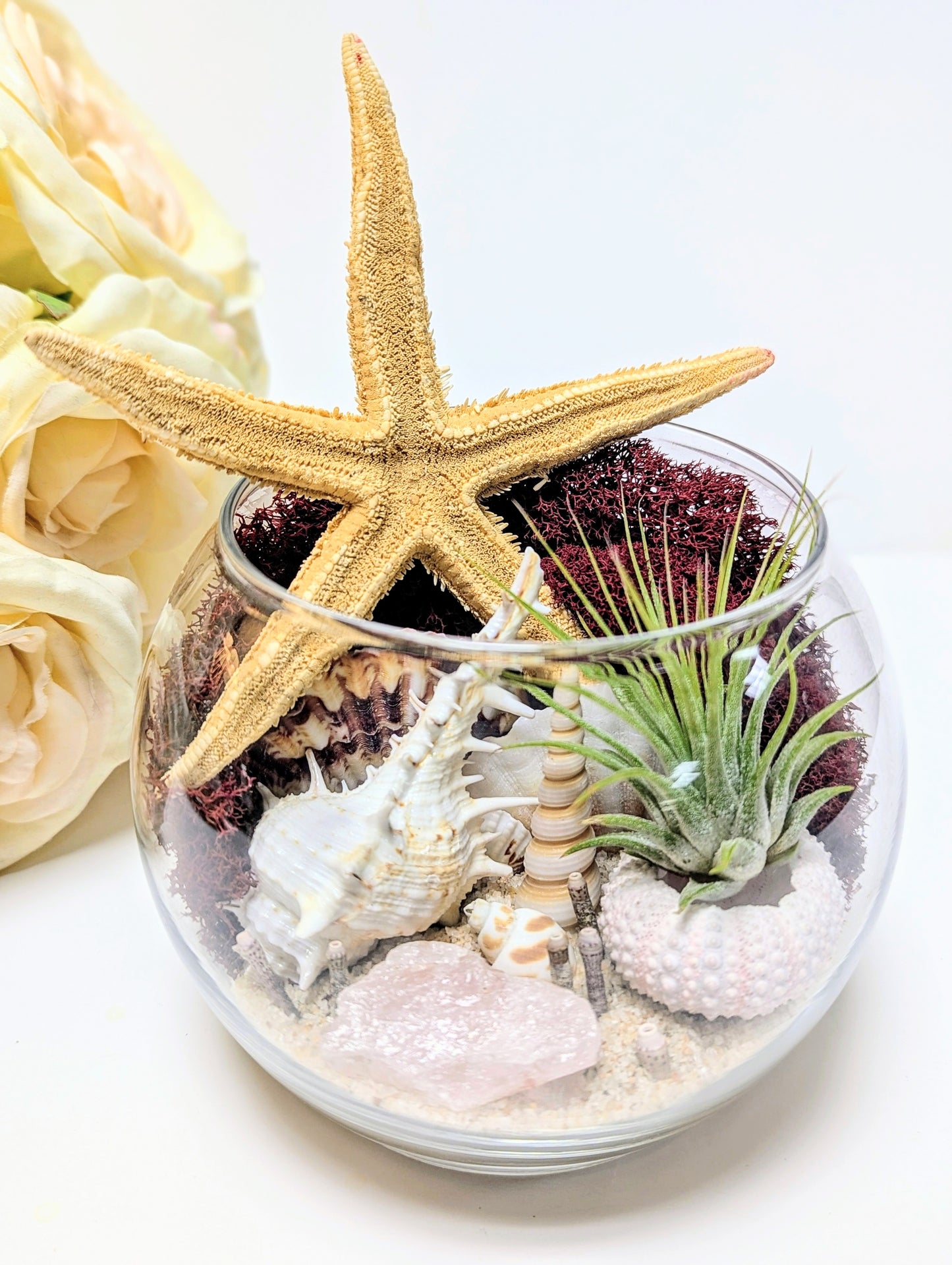 Terrarium Random