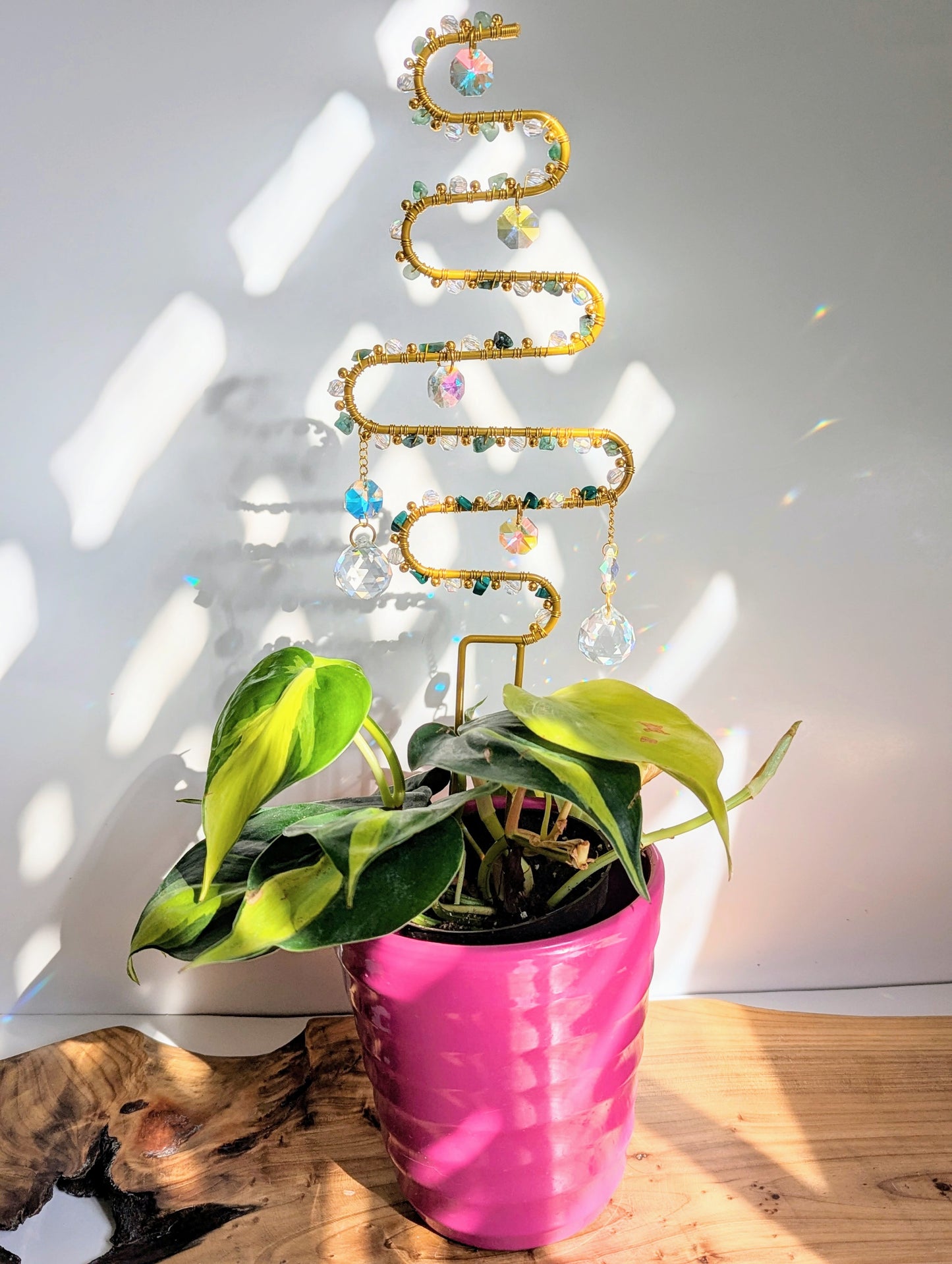 Trellis Swirls